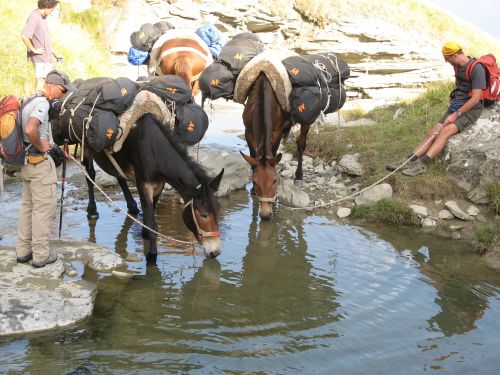 trekking con i muli-195.jpg